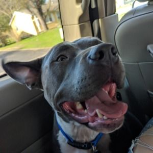 Meet your Posher, Cameron